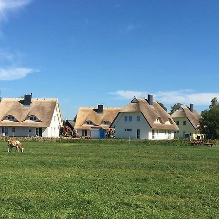 Reetdachhaeuser Boergerende Экстерьер фото